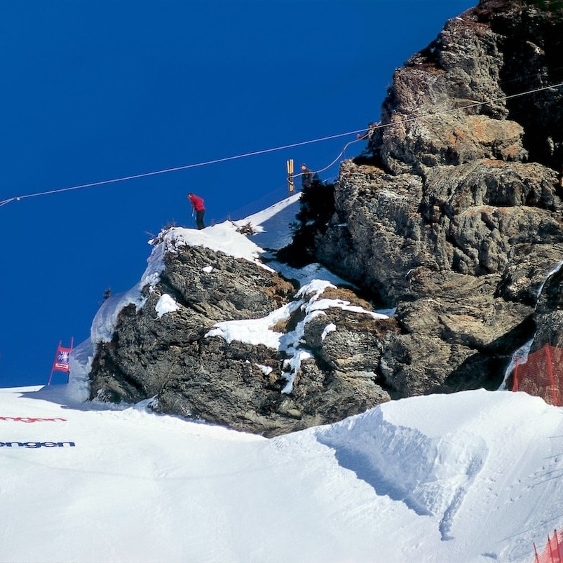 FP Events | Schweiz Tourismus/Stephan Engler, Wengen, Course du Lauberhorn, tête de chien